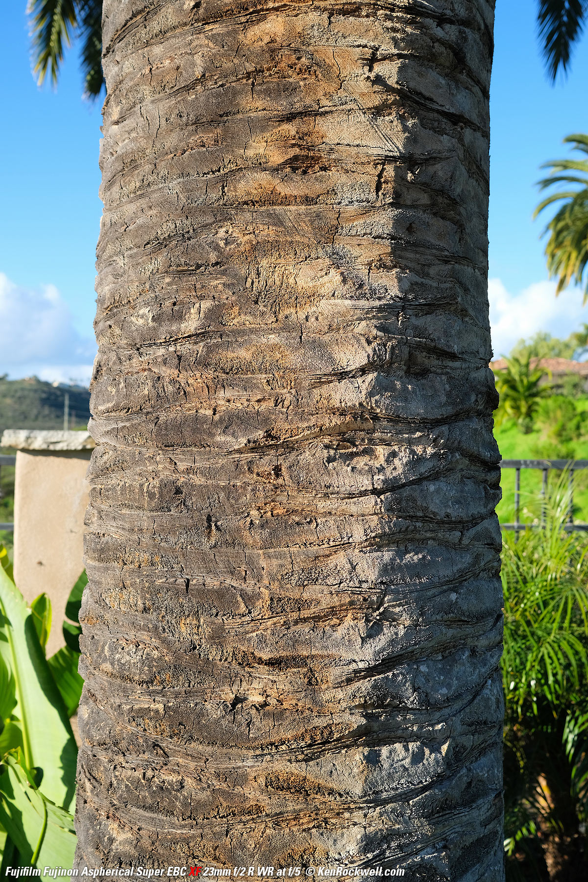 Fuji 23mm f/2 sample image