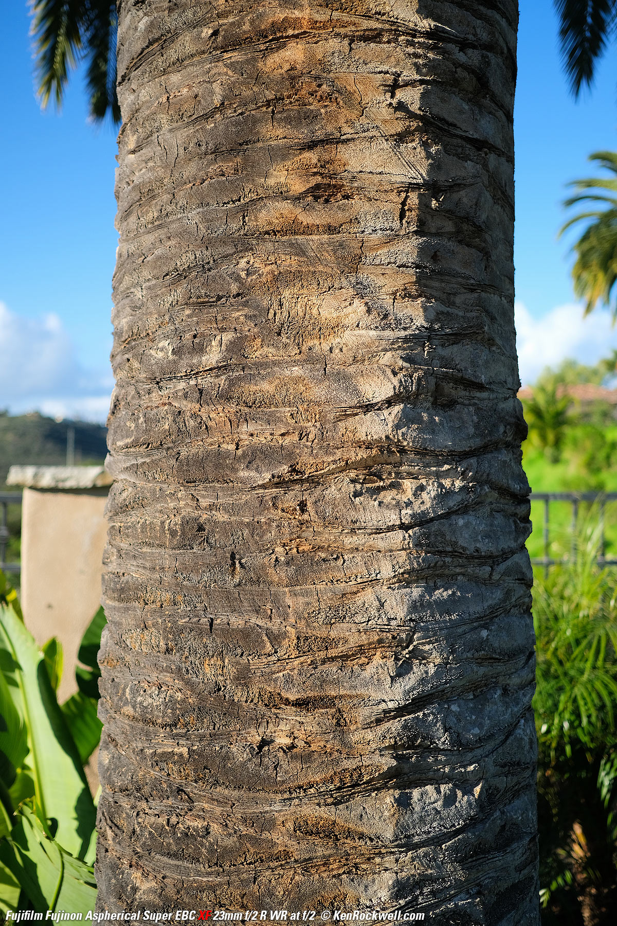 Fuji 23mm f/2 sample image