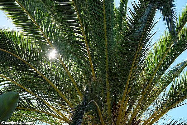 Fuji 50-140 2.8 sunstars