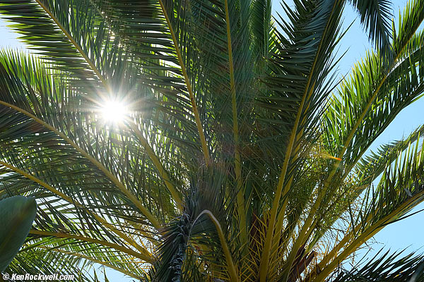 Fuji 50-140 2.8 sunstars