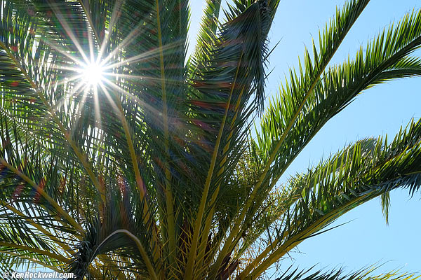 Fuji 50-140 2.8 sunstars