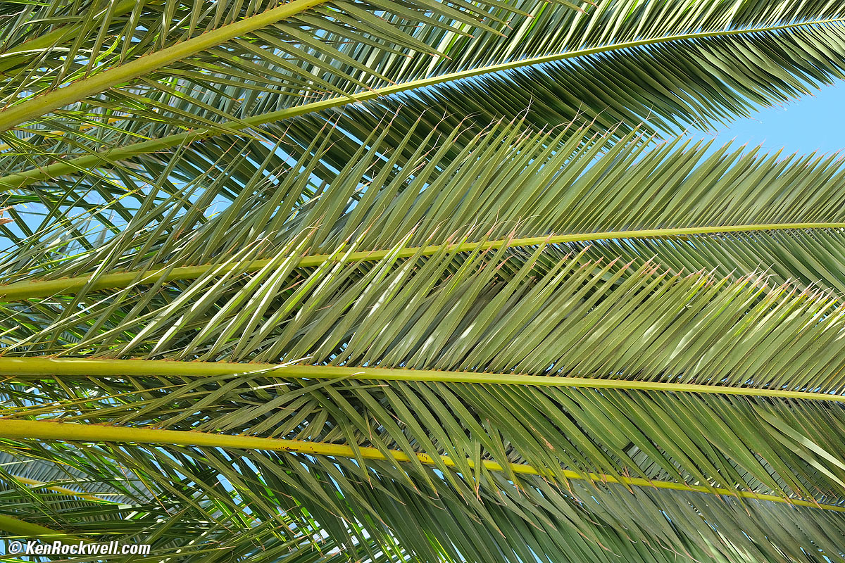 Fuji 50mm f/2 sample image