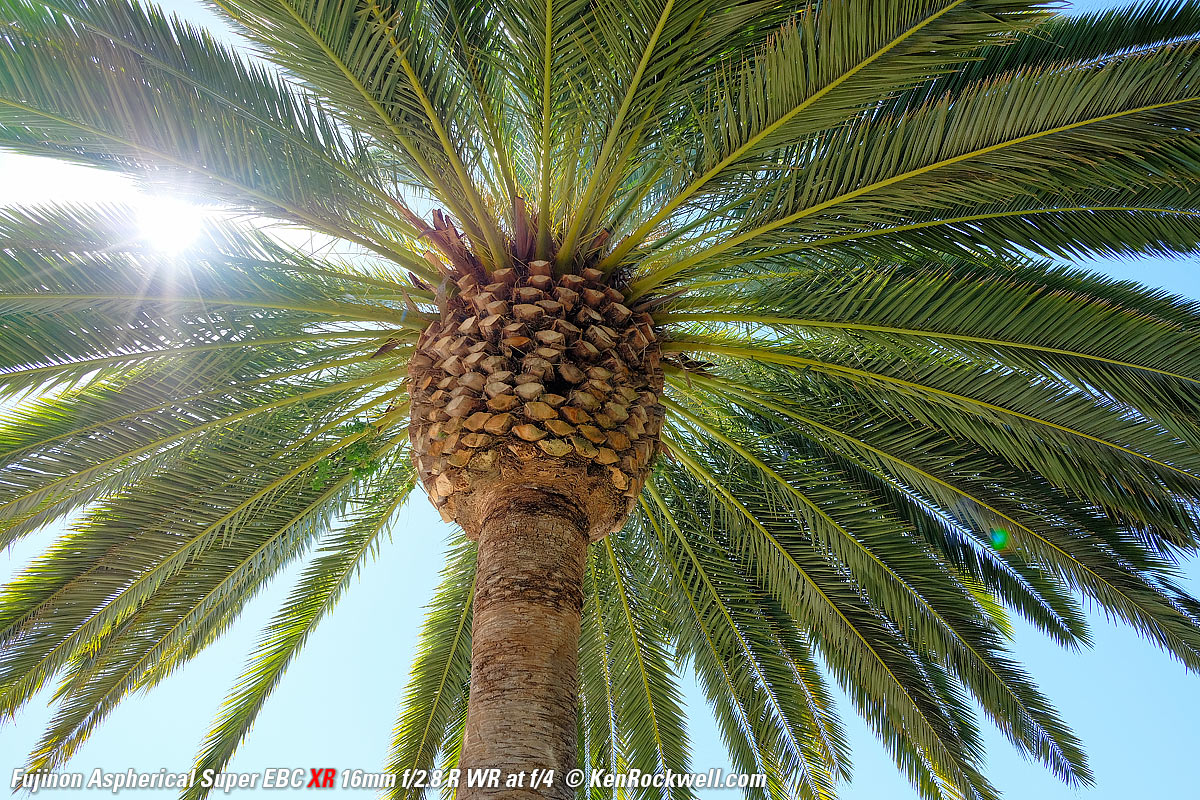 Fujifilm X-H1 16mm f/2.8 Sunstars