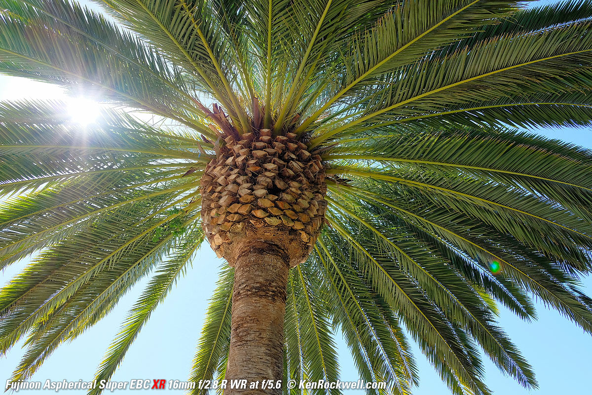 Fujifilm X-H1 16mm f/2.8 Sunstars