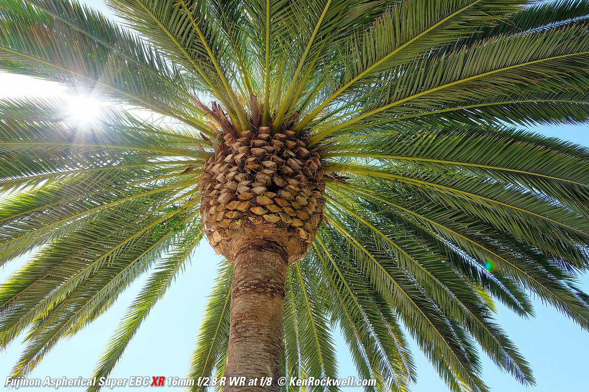 Fujifilm X-H1 16mm f/2.8 Sunstars