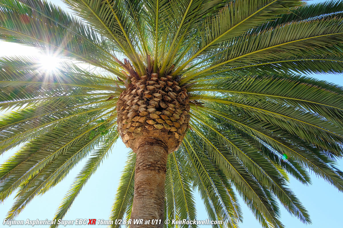 Fujifilm X-H1 16mm f/2.8 Sunstars