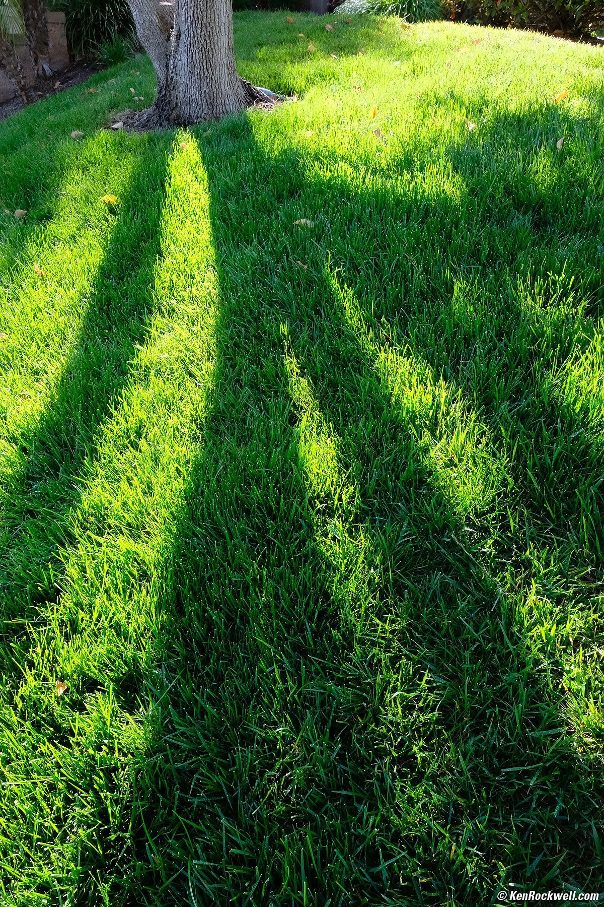 Fujifilm X-H1 16mm f/2.8 Sample Image