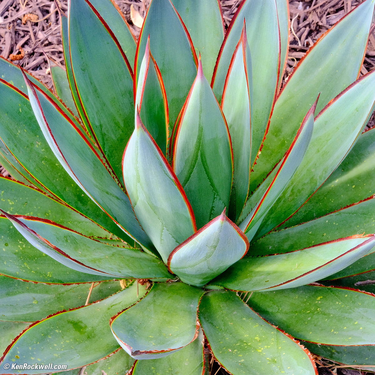 Fujifilm X-E4 Sample Image File