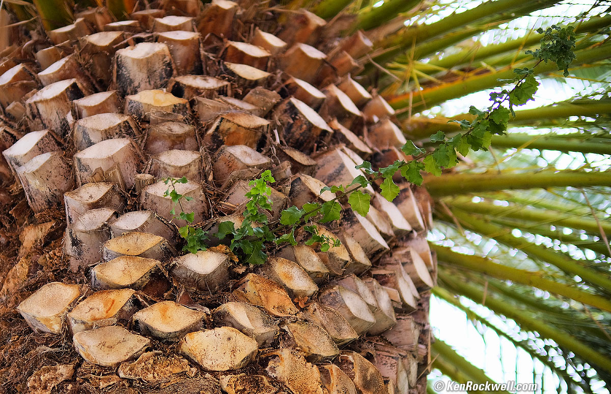 Fuji 50mm f/1.0 Sample Image File