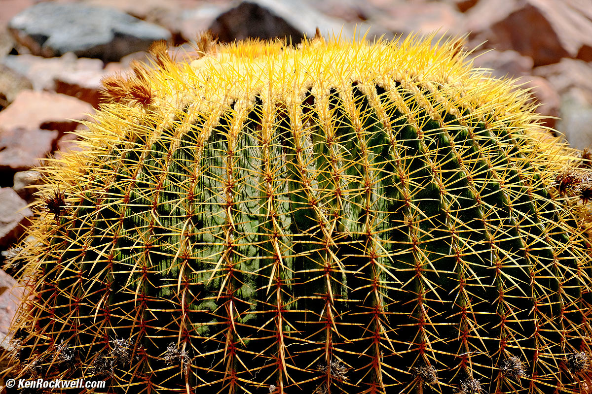 Fujifilm X-E4 Sample Image File