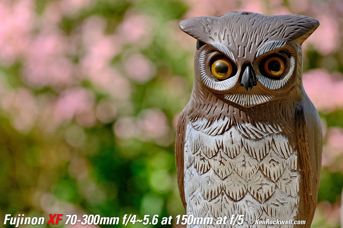 Fujifilm X-E4 Sample Image File