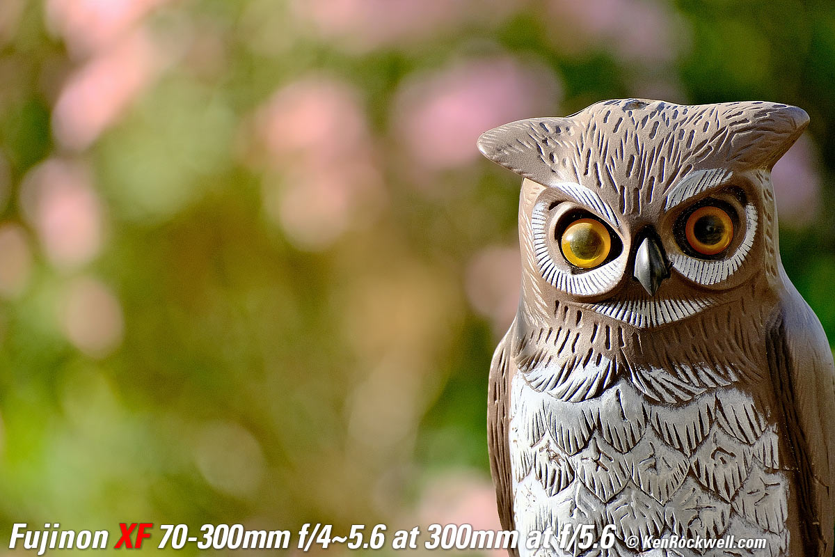 Fujifilm X-E4 Sample Image File