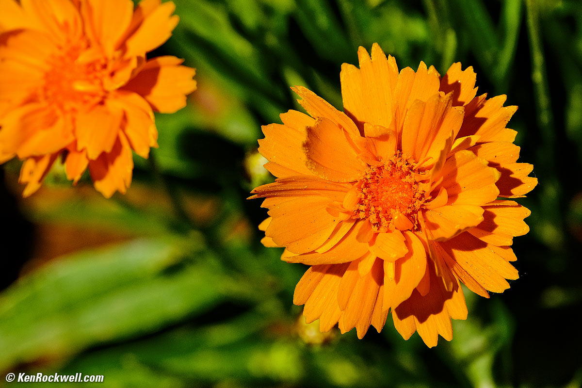 Fujifilm X-E4 Sample Image File