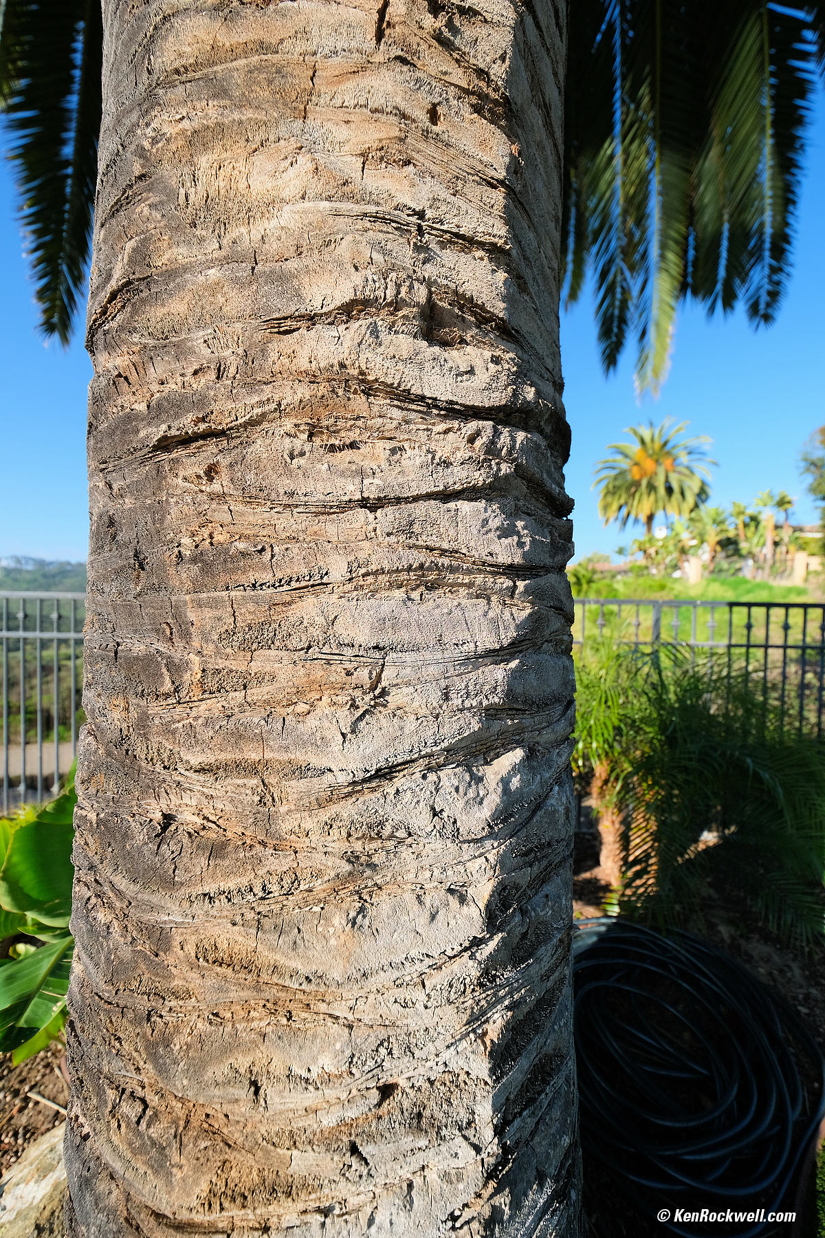 Fujifilm 8-16mm Sample Image