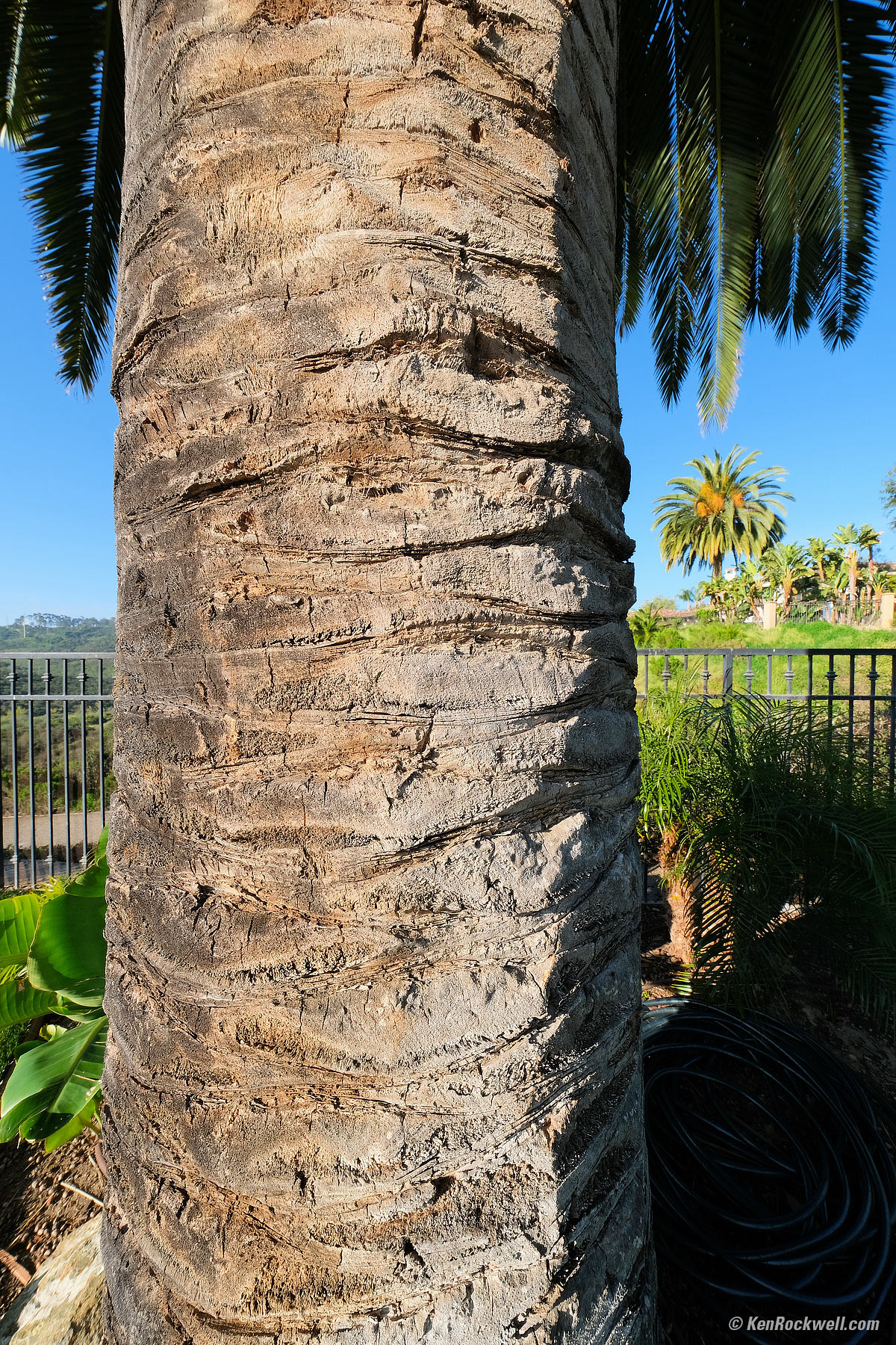 Fujifilm 8-16mm Sample Image