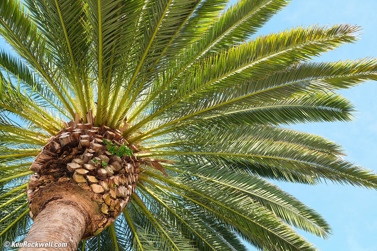 Fujifilm 8-16mm Sample Image