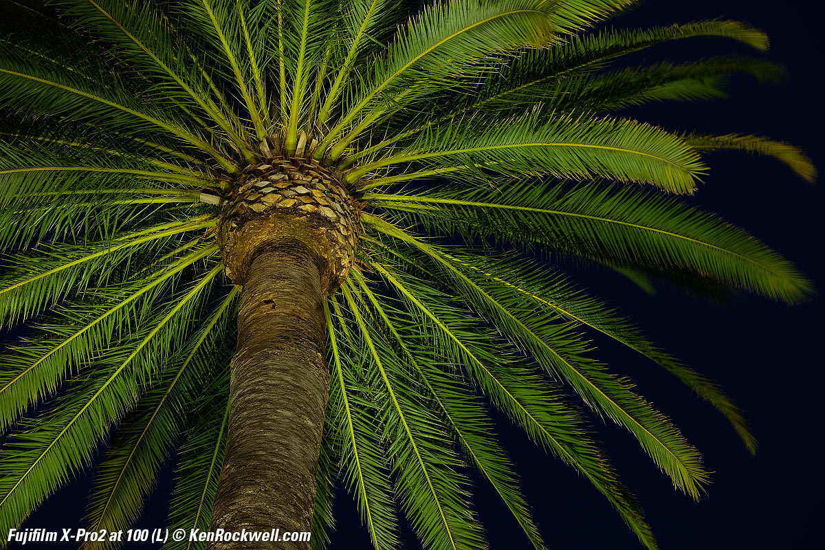 Fujifilm X-Pro2 High ISO Sample Images