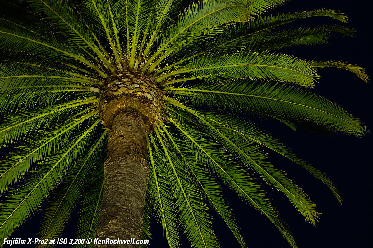 Fujifilm X-Pro2 High ISO Sample Images