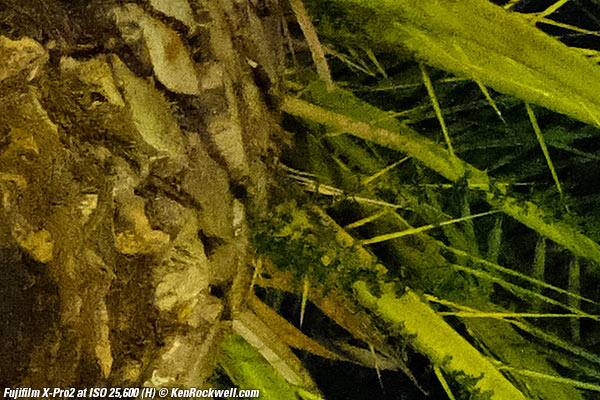 Fujifilm X-Pro2 High ISO Sample Images