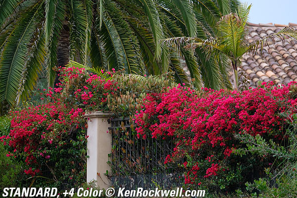 Fuji X-Pro2 Film Simulation Mode example files