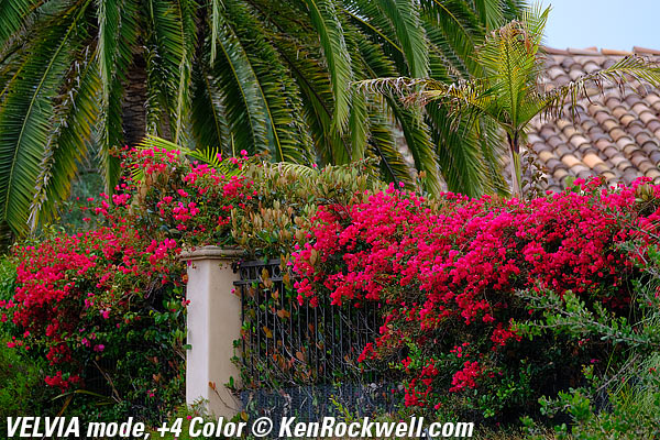 Fuji X-Pro2 Film Simulation Mode example files