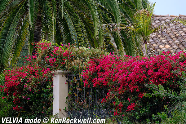 Fuji X-Pro2 Film Simulation Mode example files