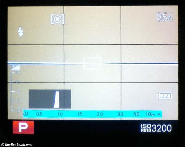 Fuji X100 Electronic Viewfinder, Japan mode, idle