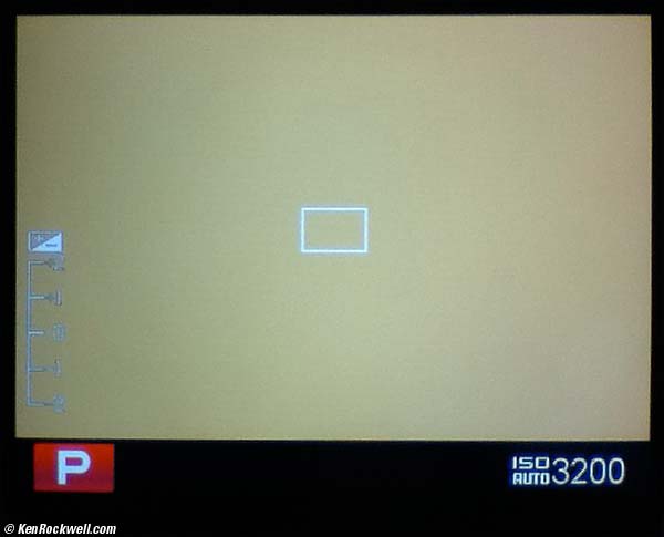 Fuji X100 Electronic Viewfinder, idle.