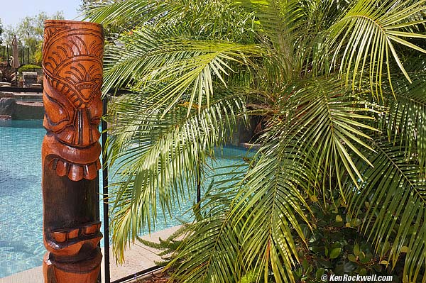 Fuji X100 Sample Image at ISO 800