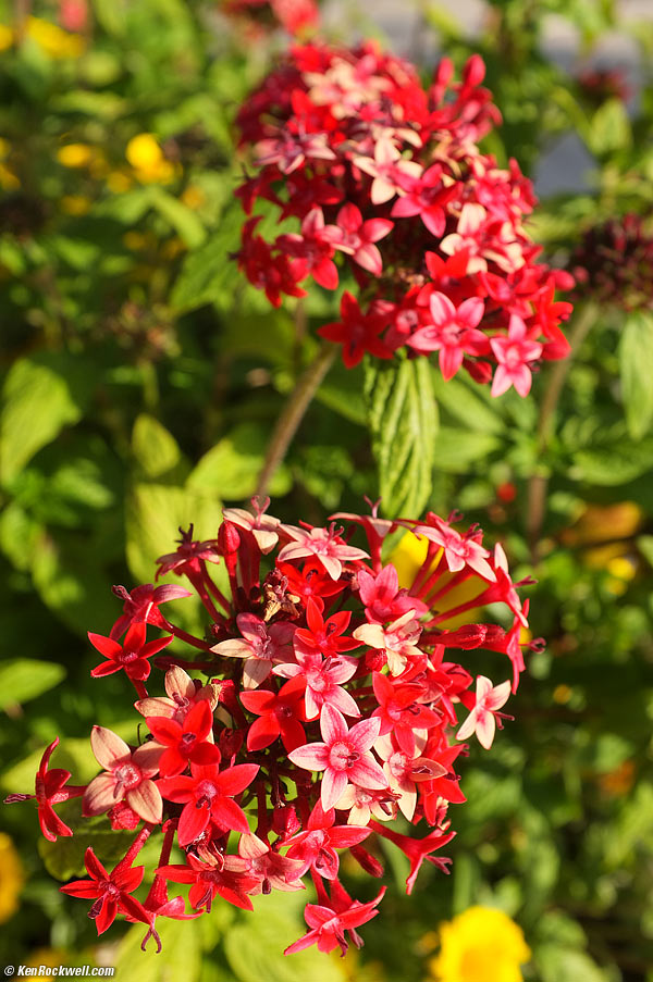 Chevy with Fuji X100