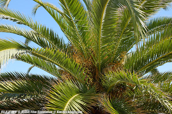 Fuji X100S S (Astia) Film Simulation mode