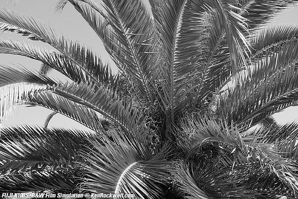 Fuji X100S Black and White Film Simulation mode