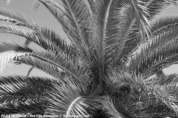 Fuji X100S Black and White Film + Red Filter Simulation mode