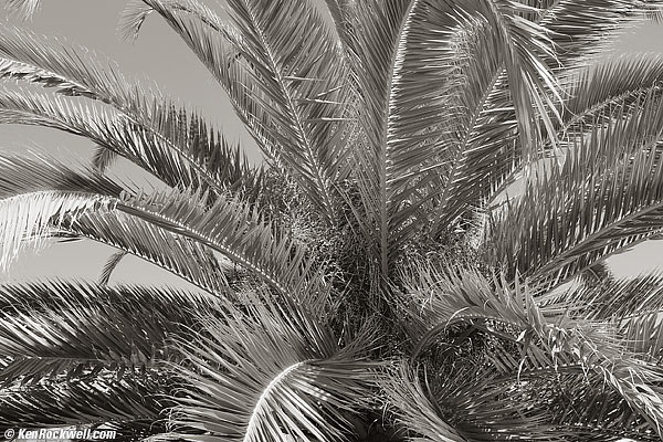 Fuji X100S Split-Toned