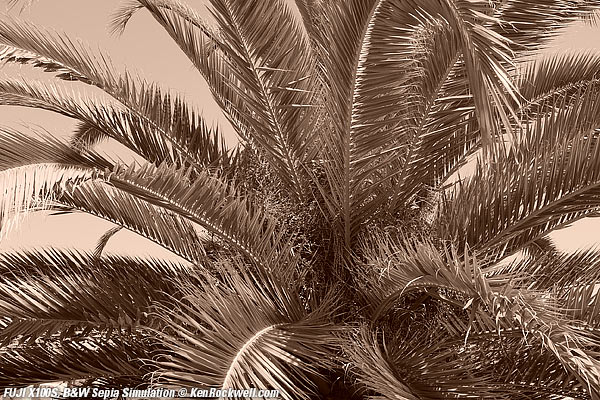 Fuji X100S Sepia Simulation mode