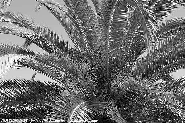 Fuji X100S Black and White Film + Yellow Filter Simulation mode