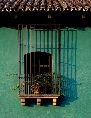 green wall window photo