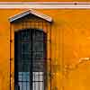 Yellow Window