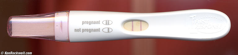 Pregnancy Test