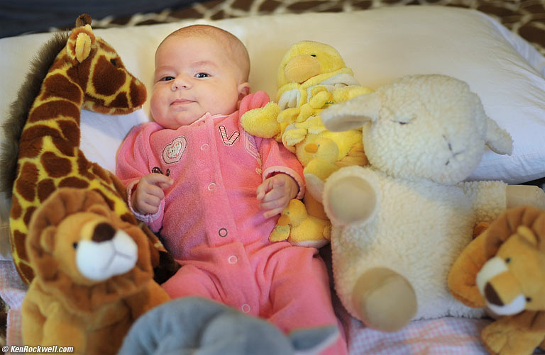 Katie on bed with animals
