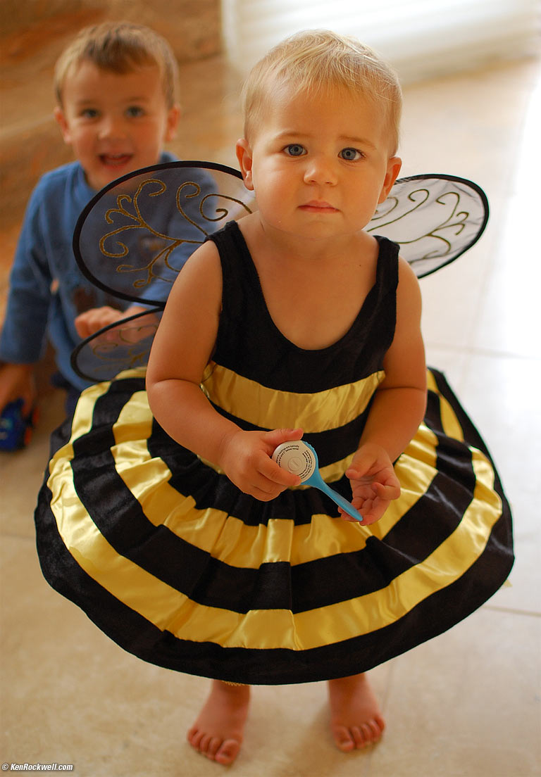 Katie the bumble bee