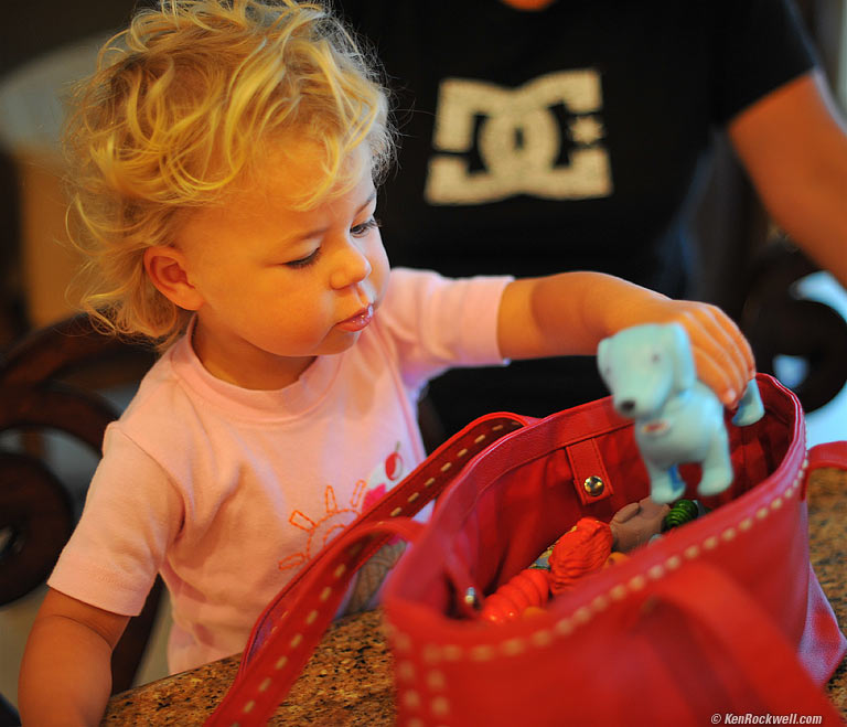 Katie and the Purse.