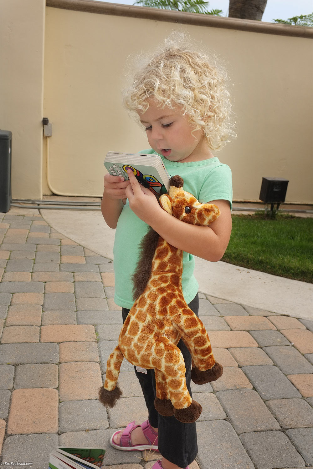 Katie with Her Butterfly Book and Giraffe