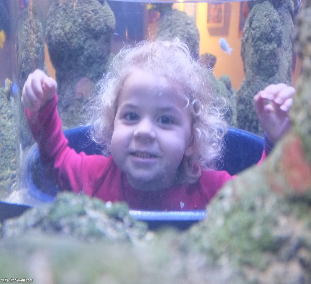 Katie at Sealife Aquarium