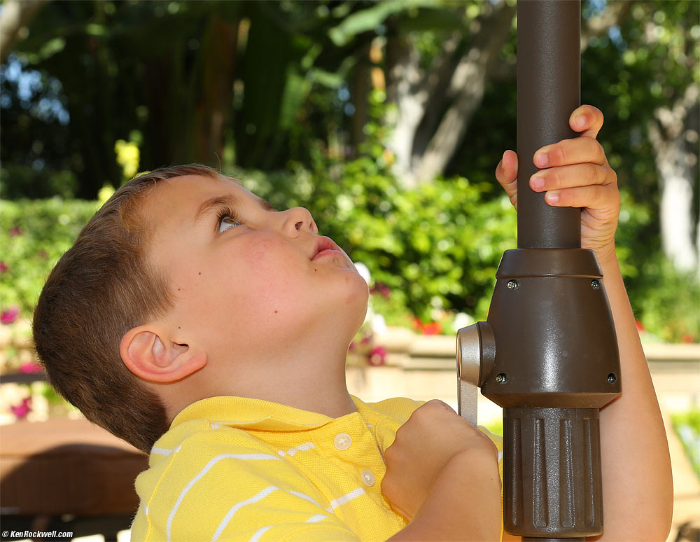 Ryan puits way the umbrellas
