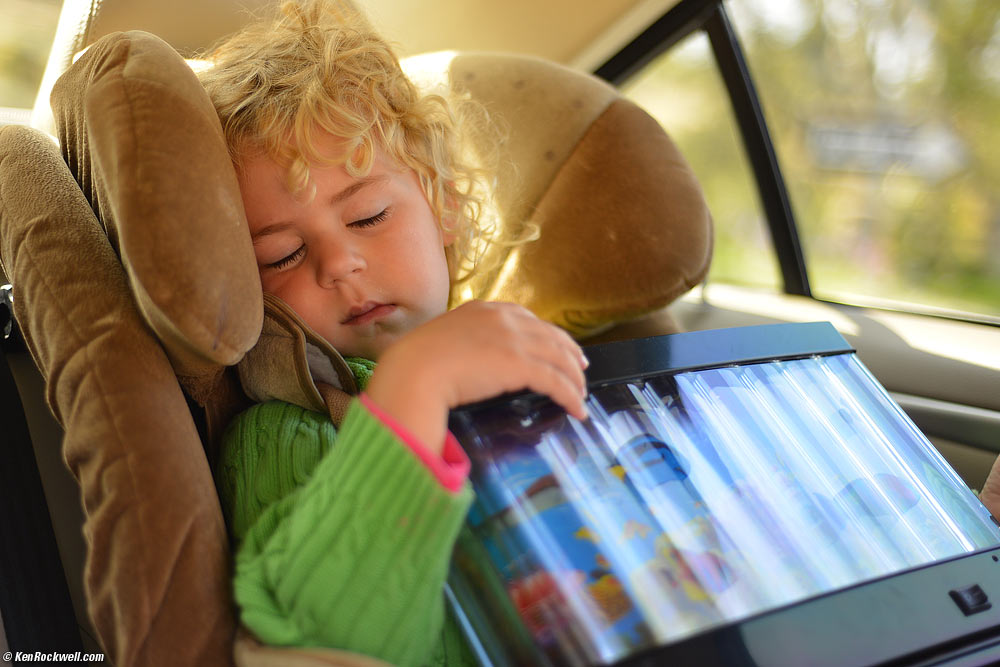Katie takes the fish tank in the Volvo