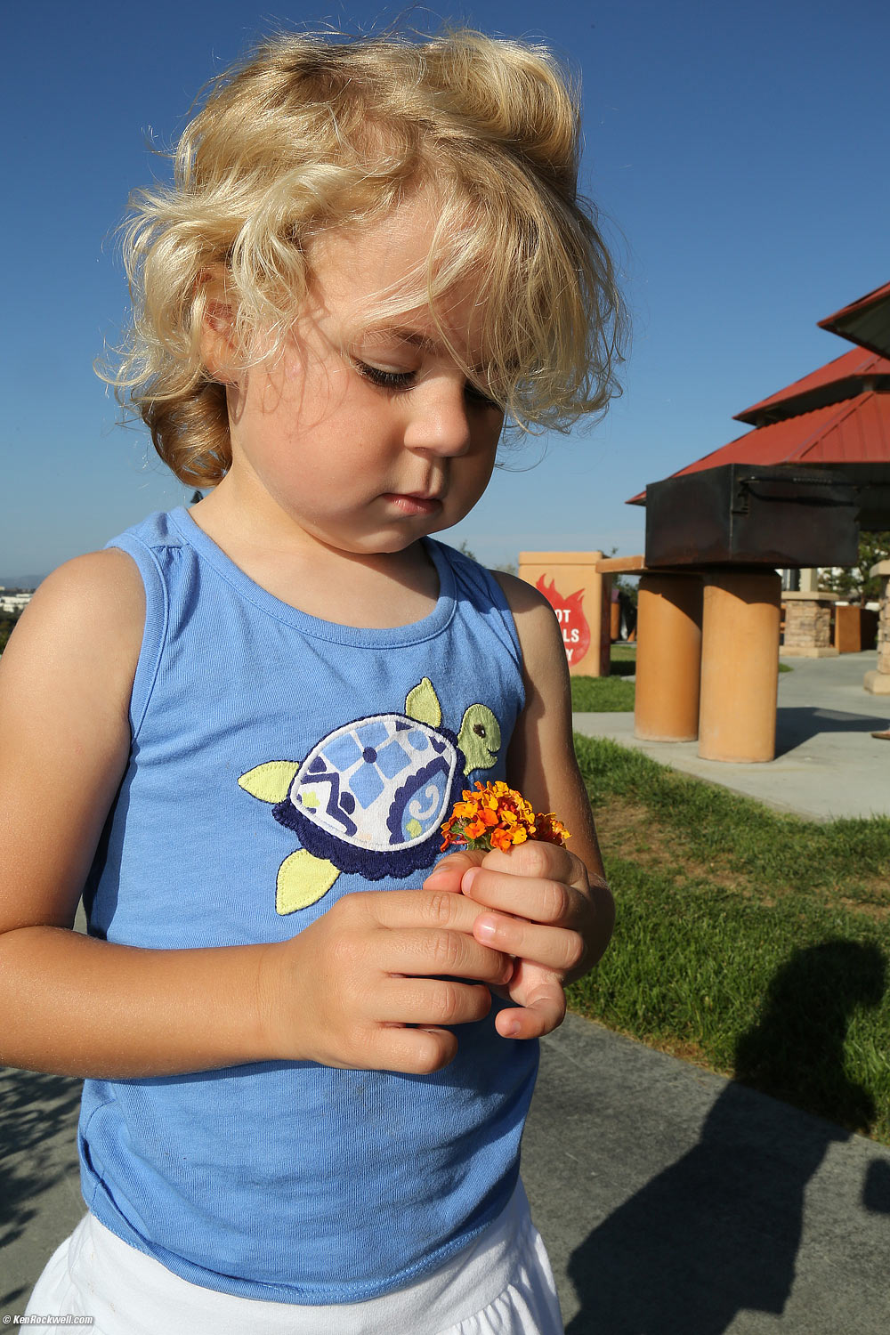 Katie picking flowers