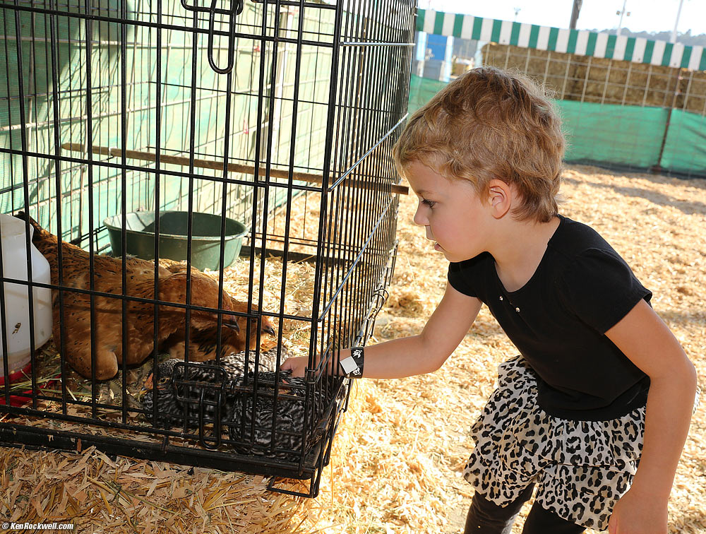 Katie petting the chicken.