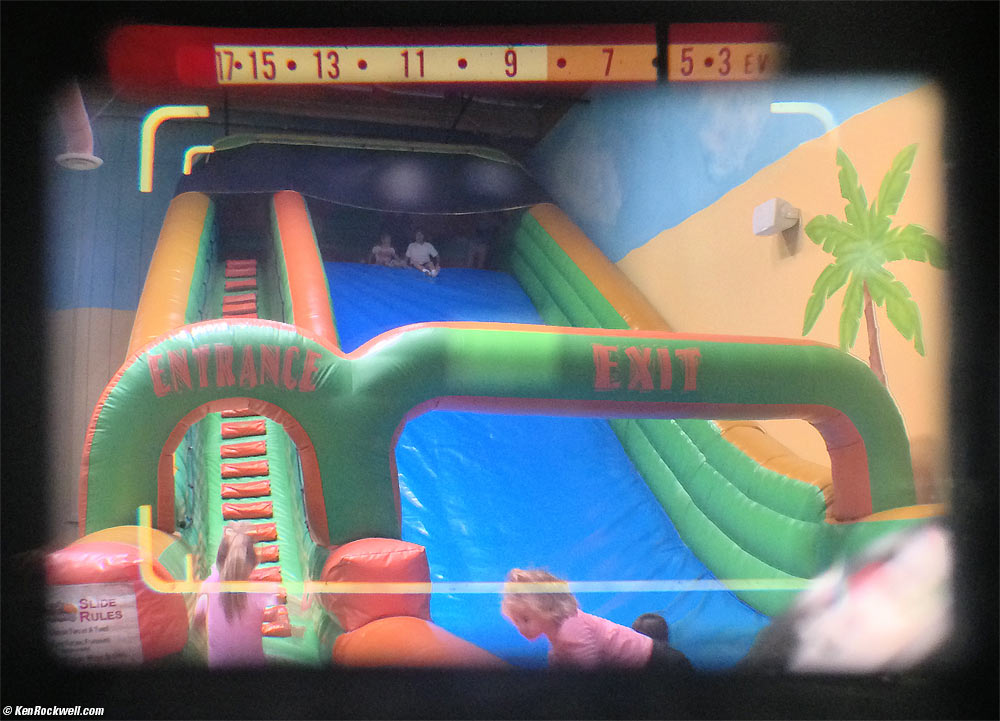 Katie at Scooter's Jungle as seen through the Olympus 35 SP viewfinder.