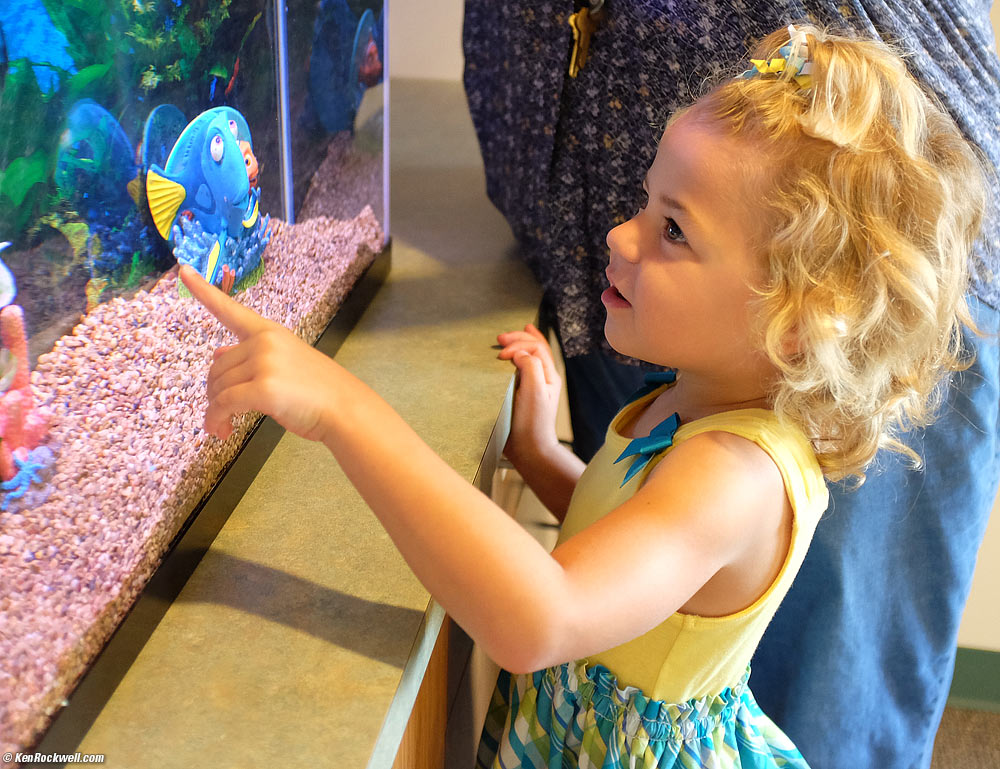 Katie checks out the fish tank in the office.